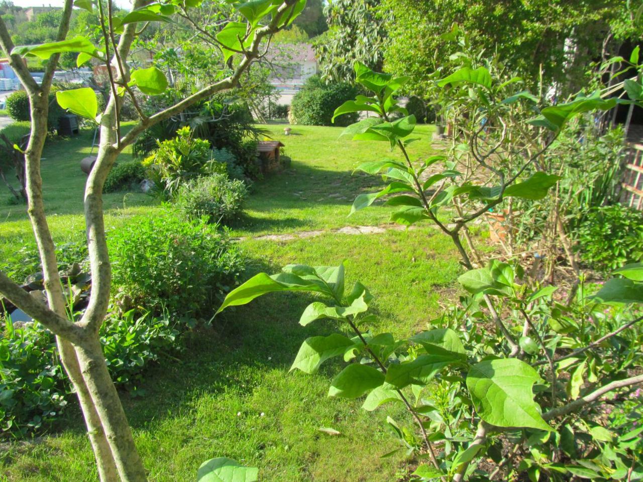Apartman Ladybird Pula Exterior foto